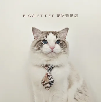 MPK нова серия котка лък котка вратовръзка яка сладък шал с безопасност ключалката регулируема